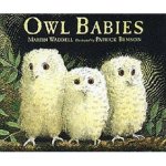 owl-babies