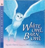 white-owl-barn-owl